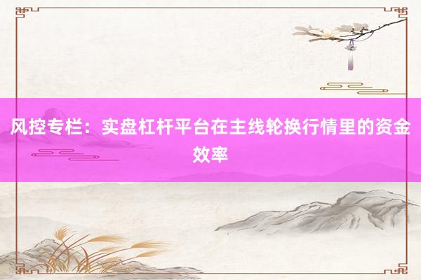 风控专栏：实盘杠杆平台在主线轮换行情里的资金效率