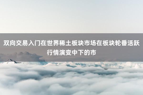 双向交易入门在世界稀土板块市场在板块轮番活跃行情演变中下的市