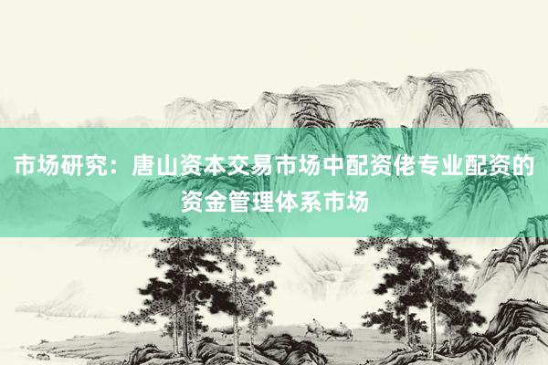 市场研究：唐山资本交易市场中配资佬专业配资的资金管理体系市场