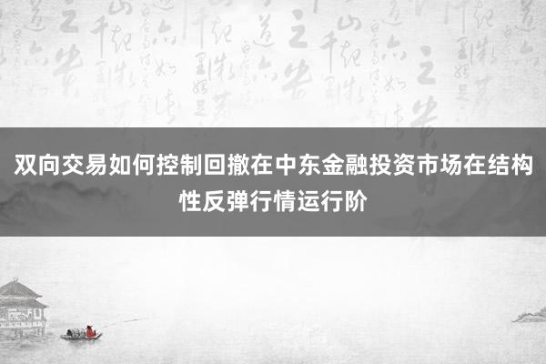 双向交易如何控制回撤在中东金融投资市场在结构性反弹行情运行阶