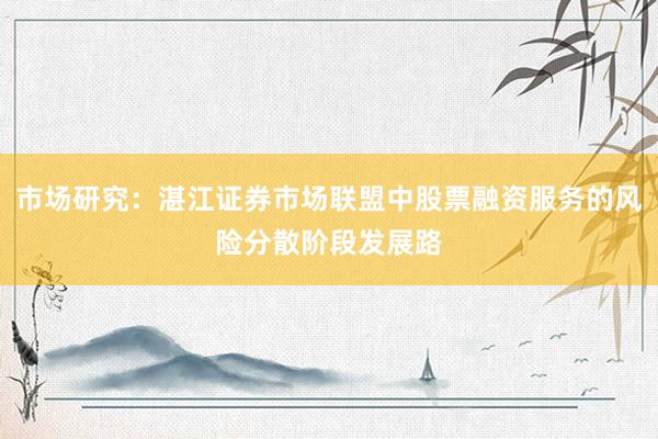 市场研究：湛江证券市场联盟中股票融资服务的风险分散阶段发展路