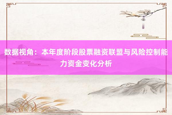 数据视角：本年度阶段股票融资联盟与风险控制能力资金变化分析