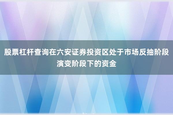 股票杠杆查询在六安证券投资区处于市场反抽阶段演变阶段下的资金