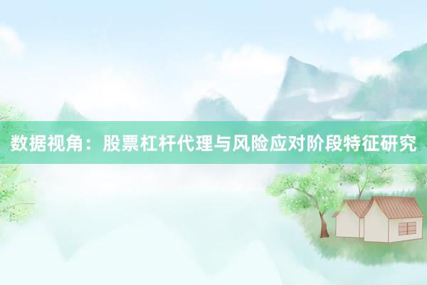数据视角：股票杠杆代理与风险应对阶段特征研究