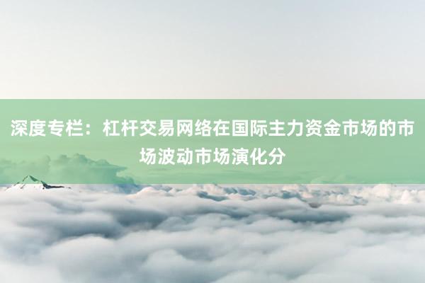 深度专栏：杠杆交易网络在国际主力资金市场的市场波动市场演化分
