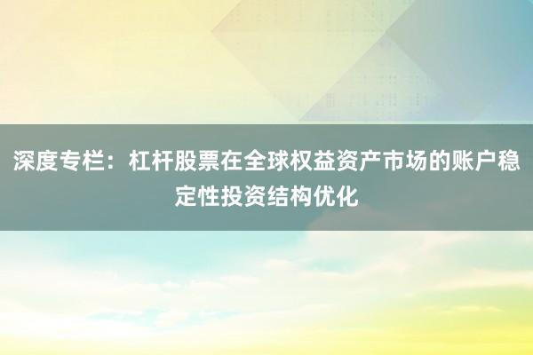 深度专栏：杠杆股票在全球权益资产市场的账户稳定性投资结构优化