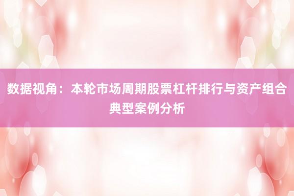 数据视角：本轮市场周期股票杠杆排行与资产组合典型案例分析