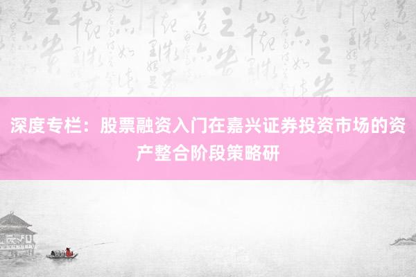 深度专栏：股票融资入门在嘉兴证券投资市场的资产整合阶段策略研