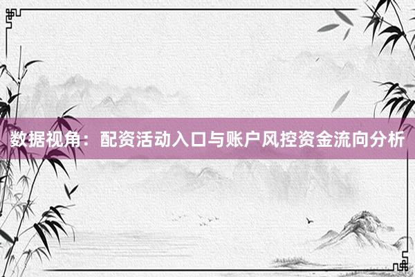 数据视角：配资活动入口与账户风控资金流向分析