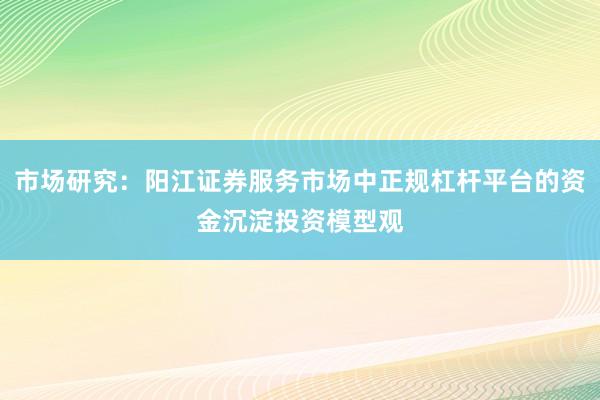 市场研究：阳江证券服务市场中正规杠杆平台的资金沉淀投资模型观