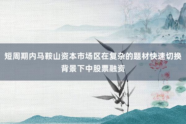 短周期内马鞍山资本市场区在复杂的题材快速切换背景下中股票融资