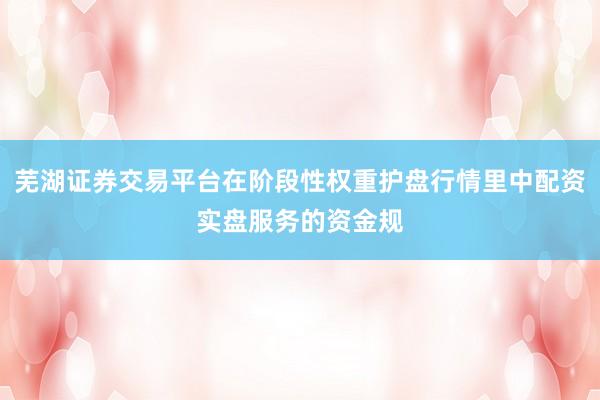 芜湖证券交易平台在阶段性权重护盘行情里中配资实盘服务的资金规