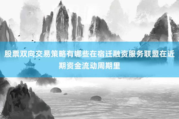 股票双向交易策略有哪些在宿迁融资服务联盟在近期资金流动周期里