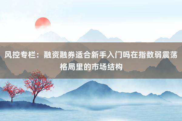 风控专栏：融资融券适合新手入门吗在指数弱震荡格局里的市场结构