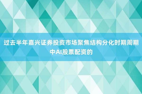 过去半年嘉兴证券投资市场聚焦结构分化时期周期中AI股票配资的