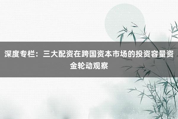 深度专栏：三大配资在跨国资本市场的投资容量资金轮动观察