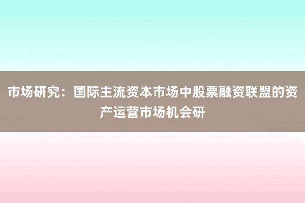 市场研究:国际主流资本市场中股票融资联盟的资产运营市场机会研