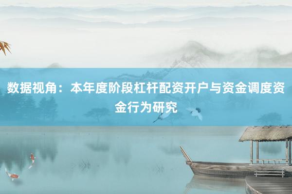数据视角：本年度阶段杠杆配资开户与资金调度资金行为研究