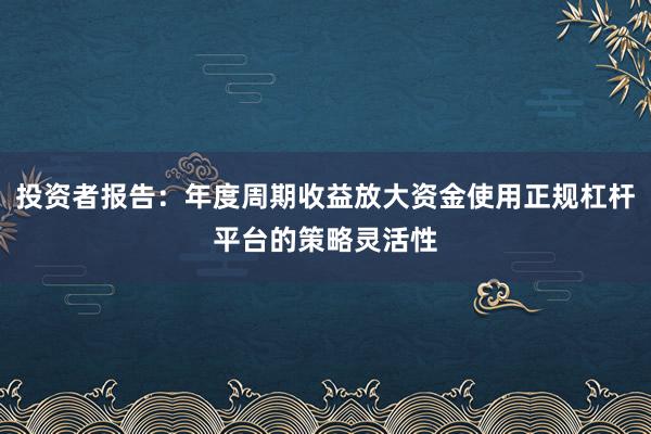 投资者报告：年度周期收益放大资金使用正规杠杆平台的策略灵活性