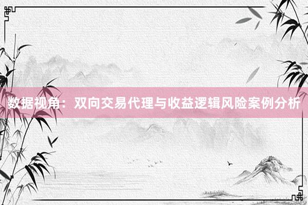 数据视角：双向交易代理与收益逻辑风险案例分析
