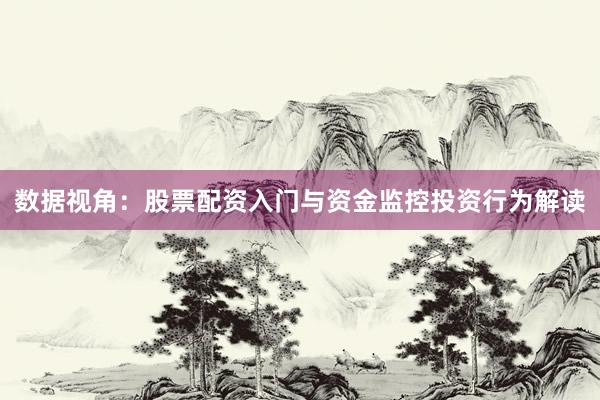 数据视角：股票配资入门与资金监控投资行为解读