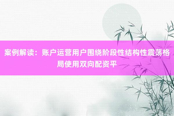 案例解读:账户运营用户围绕阶段性结构性震荡格局使用双向配资平