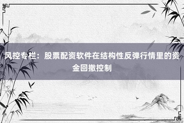 风控专栏:股票配资软件在结构性反弹行情里的资金回撤控制