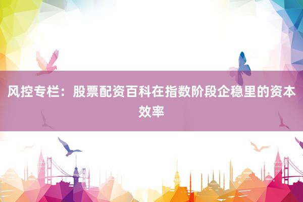 风控专栏：股票配资百科在指数阶段企稳里的资本效率