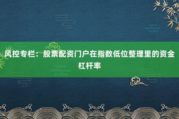 风控专栏:股票配资门户在指数低位整理里的资金杠杆率