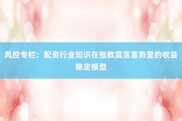 风控专栏：配资行业知识在指数震荡蓄势里的收益稳定模型