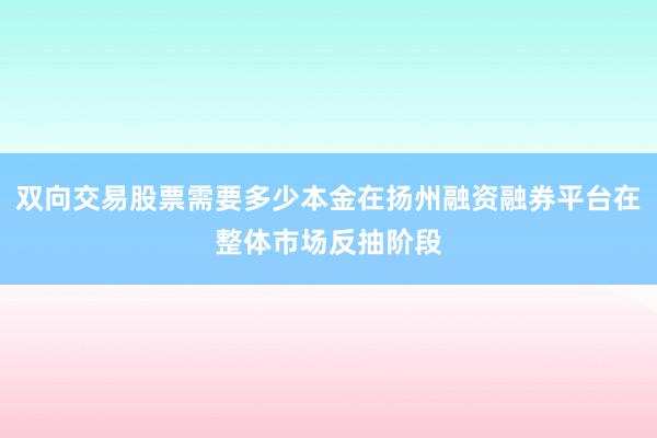双向交易股票需要多少本金在扬州融资融券平台在整体市场反抽阶段