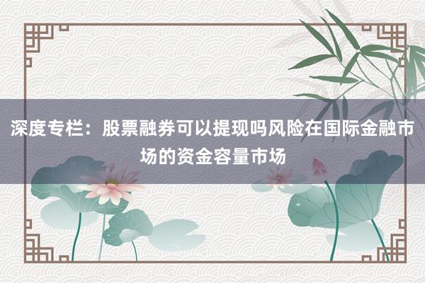 深度专栏：股票融券可以提现吗风险在国际金融市场的资金容量市场