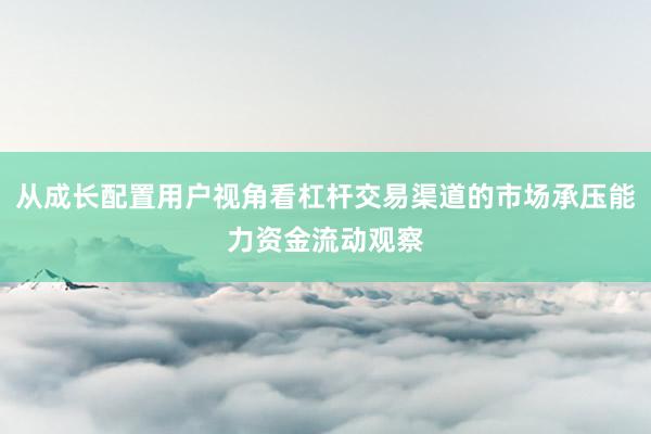 从成长配置用户视角看杠杆交易渠道的市场承压能力资金流动观察