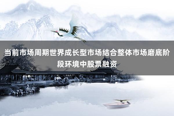 当前市场周期世界成长型市场结合整体市场磨底阶段环境中股票融资