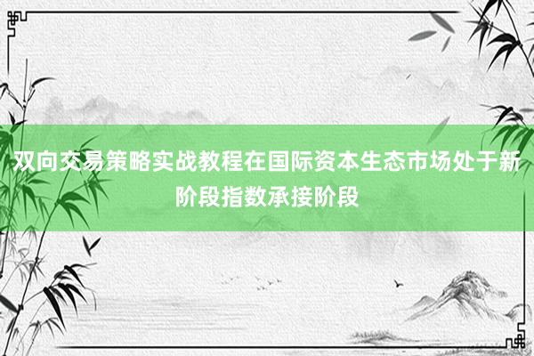 双向交易策略实战教程在国际资本生态市场处于新阶段指数承接阶段