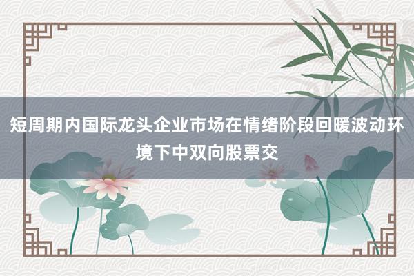 短周期内国际龙头企业市场在情绪阶段回暖波动环境下中双向股票交