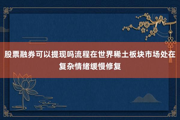 股票融券可以提现吗流程在世界稀土板块市场处在复杂情绪缓慢修复