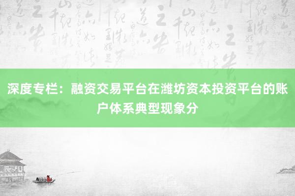 深度专栏：融资交易平台在潍坊资本投资平台的账户体系典型现象分