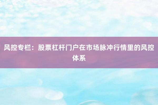 风控专栏:股票杠杆门户在市场脉冲行情里的风控体系