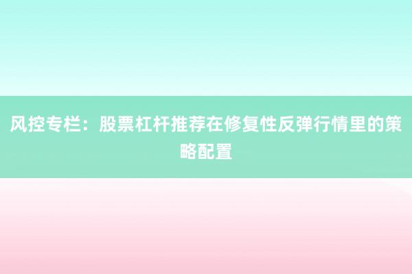 风控专栏：股票杠杆推荐在修复性反弹行情里的策略配置