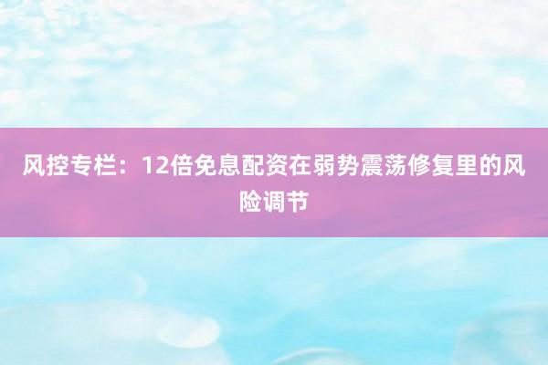 风控专栏：12倍免息配资在弱势震荡修复里的风险调节