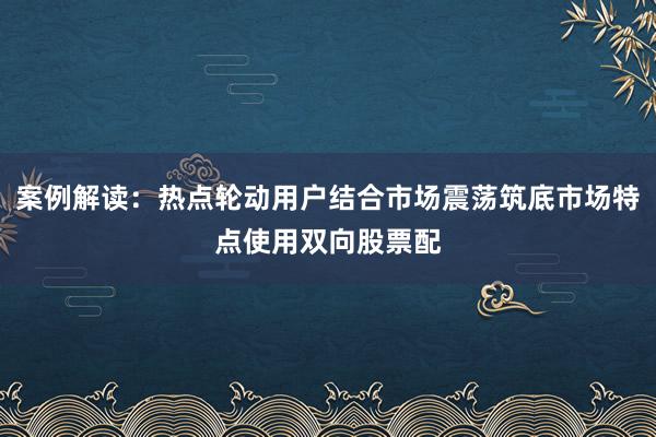 案例解读：热点轮动用户结合市场震荡筑底市场特点使用双向股票配