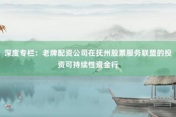深度专栏:老牌配资公司在抚州股票服务联盟的投资可持续性资金行