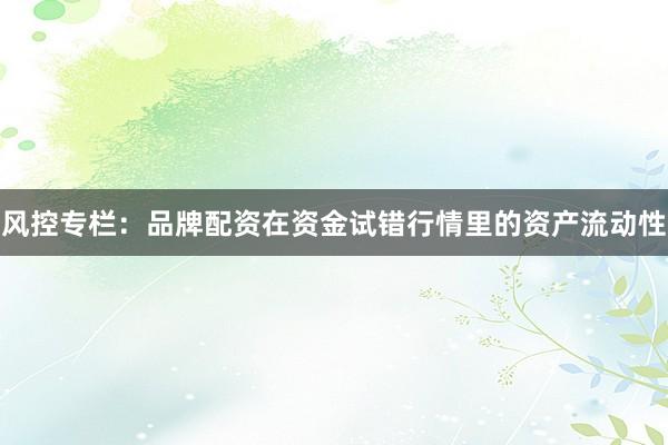风控专栏：品牌配资在资金试错行情里的资产流动性