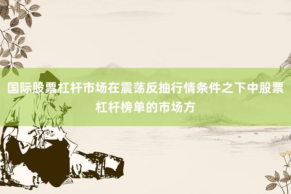 国际股票杠杆市场在震荡反抽行情条件之下中股票杠杆榜单的市场方