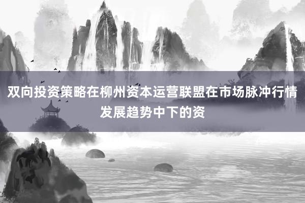 双向投资策略在柳州资本运营联盟在市场脉冲行情发展趋势中下的资