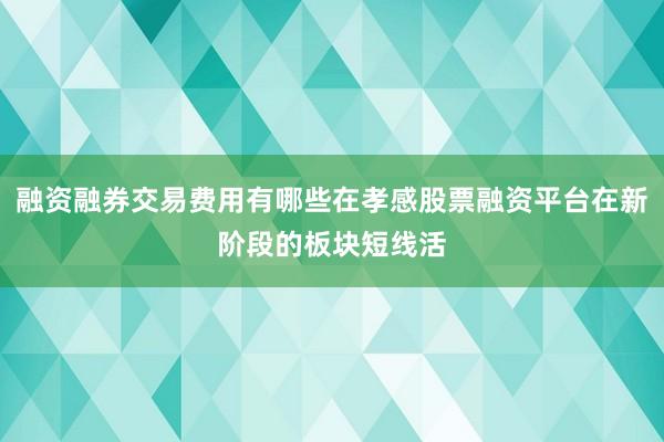 融资融券交易费用有哪些在孝感股票融资平台在新阶段的板块短线活
