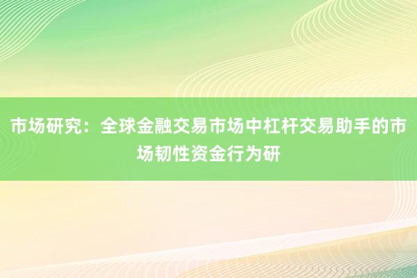 市场研究：全球金融交易市场中杠杆交易助手的市场韧性资金行为研