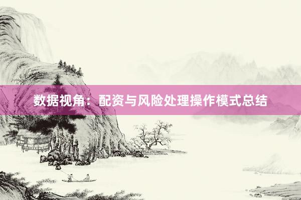 数据视角：配资与风险处理操作模式总结