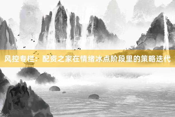 风控专栏：配资之家在情绪冰点阶段里的策略迭代